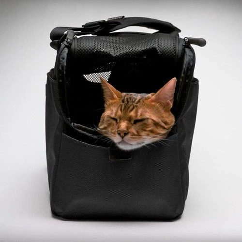 Sleepypod Draagtas Voor Huisdieren Atom Jet Black 7 Sleepypod Draagtas Voor Huisdieren Atom Jet Black - Afbeelding 5