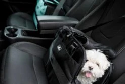 Sleepypod Draagtas Voor Huisdieren Atom Jet Black 15 Sleepypod Draagtas Voor Huisdieren Atom Jet Black -Hunter Winkel image 2667