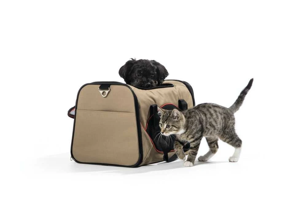 Hunter Kattentas Kansas Beige 4 Hunter Kattentas Kansas Beige - Afbeelding 2