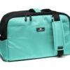 Sleepypod Draagtas Voor Huisdieren Atom Robin Egg Blue -Hunter Winkel image 2699
