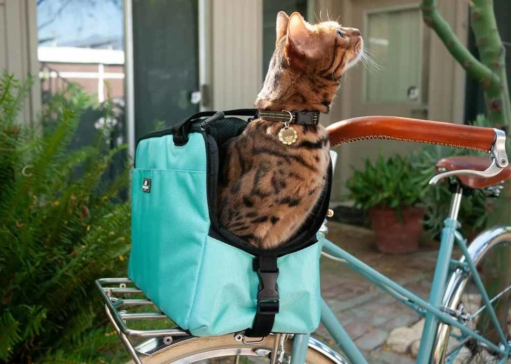 Sleepypod Draagtas Voor Huisdieren Atom Robin Egg Blue 5 Sleepypod Draagtas Voor Huisdieren Atom Robin Egg Blue - Afbeelding 3