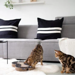 Uitgelichte producten 19 District70 Kattenspeelgoed Snake Zwart