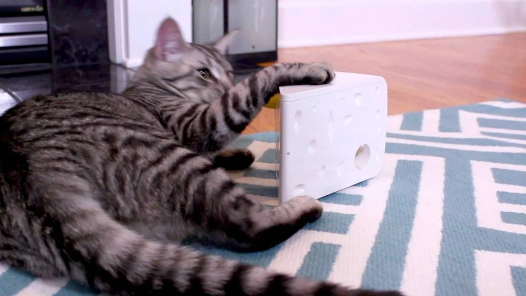 FroliCat Kattenspeelgoed Cheese 3 FroliCat Kattenspeelgoed Cheese