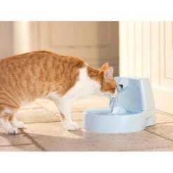 Uitgelichte producten -Hunter Winkel image 2747