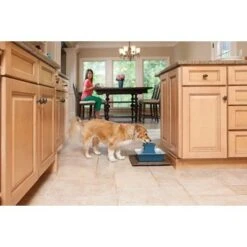 Uitgelichte producten 15 Petsafe Drinkfontein Drinkwell Pagoda Blauw