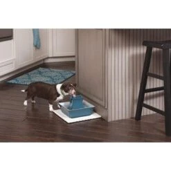 Petsafe Drinkfontein Drinkwell Pagoda Blauw -Hunter Winkel image 2751