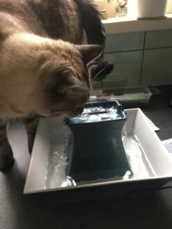 Petsafe Drinkfontein Drinkwell Pagoda Blauw -Hunter Winkel image 2753