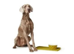 Hunter Onderlegger Eiby Geel -Hunter Winkel image 2791