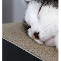 MyKotty Krabmeubel LUI Zwart -Hunter Winkel image 2872