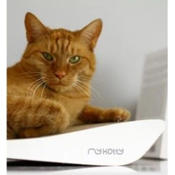 MyKotty Krabmeubel TOBI Wit -Hunter Winkel image 2894