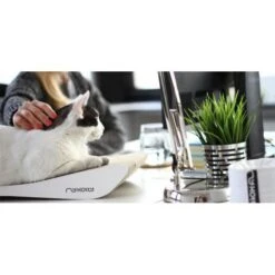 MyKotty Krabmeubel TOBI Wit -Hunter Winkel image 2895