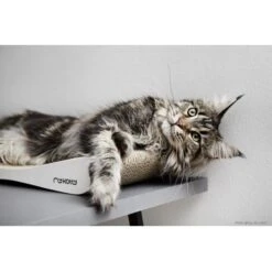 MyKotty Krabmeubel TOBI Wit -Hunter Winkel image 2896