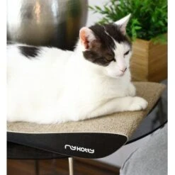 MyKotty Krabmeubel TOBI Zwart