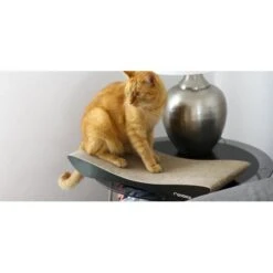 MyKotty Krabmeubel TOBI Zwart 10 MyKotty Krabmeubel TOBI Zwart -Hunter Winkel image 2900