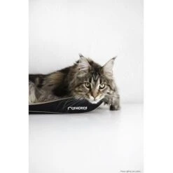 MyKotty Krabmeubel TOBI Zwart 11 MyKotty Krabmeubel TOBI Zwart -Hunter Winkel image 2901