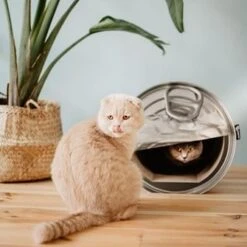 District70 Krabmeubel Can