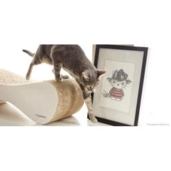 MyKotty Krabmeubel VIGO Wit -Hunter Winkel image 2961