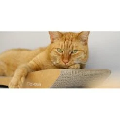 MyKotty Krabmeubel TOBI Bruin -Hunter Winkel image 2974