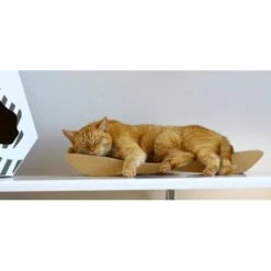 MyKotty Krabmeubel TOBI Bruin -Hunter Winkel image 2975