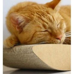 MyKotty Krabmeubel TOBI Bruin -Hunter Winkel image 2976