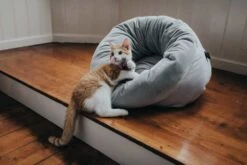 Hunter Kattenmand Miranda Grijs