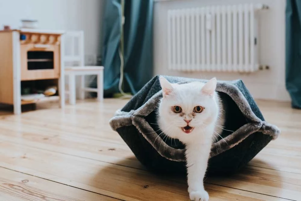 Hunter Kattenmand Lugano 3 Hunter Kattenmand Lugano