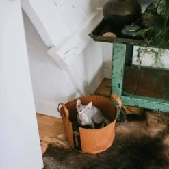 District70 Kattenmand Paper Cognac -Hunter Winkel image 3080