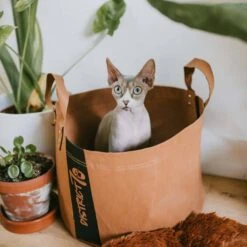 District70 Kattenmand Paper Cognac -Hunter Winkel image 3082