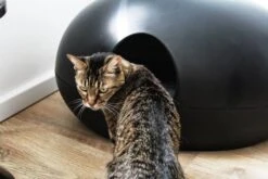 Sindesign Design Kattenbak Poopoopeedo Zwart