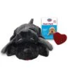 Snuggle Puppy Zwart -Hunter Winkel image 3139