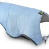 EQDOG Koelvest Cool Dog Blauw