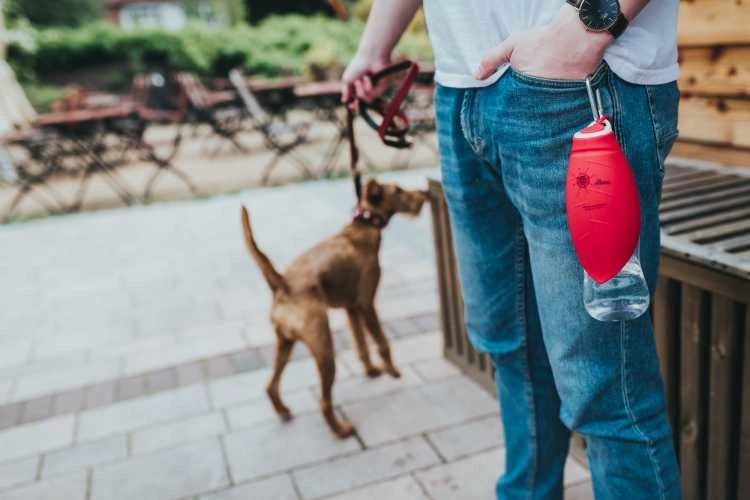 Hunter Drinkfles Hond List Rood 6 Hunter Drinkfles Hond List Rood - Afbeelding 4
