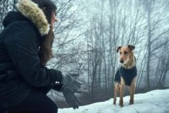 Hunter Hondenjas Uppsala Softshell -Hunter Winkel image 37