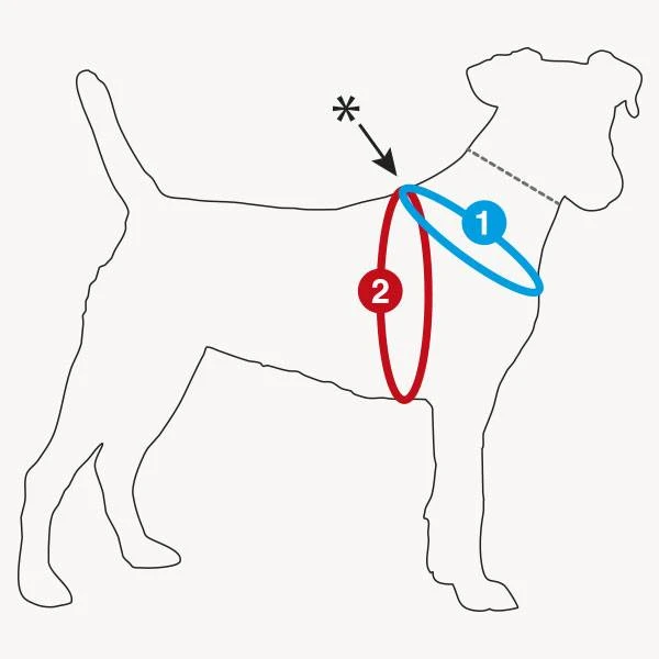 Curli Hondentuig Air-Mesh Harness Pink 10 Curli Hondentuig Air-Mesh Harness Pink - Afbeelding 8