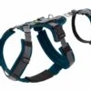Hunter Veiligheidsharnas Maldon Teal -Hunter Winkel image 41