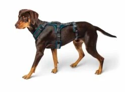 Hunter Winkel -Hunter Winkel image 42