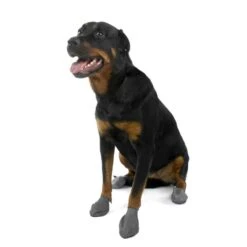 Pawz Protex Pawz Hondenschoenen Herbruikbaar Zwart -Hunter Winkel image 438