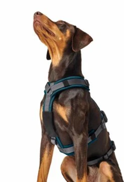 Hunter Veiligheidsharnas Maldon Teal 14 Hunter Veiligheidsharnas Maldon Teal -Hunter Winkel image 44