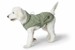 Hunter Regenjas Hond Milford Groen -Hunter Winkel image 448