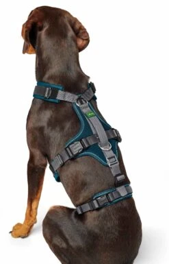 Hunter Veiligheidsharnas Maldon Teal 16 Hunter Veiligheidsharnas Maldon Teal -Hunter Winkel image 46