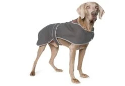 Hunter Winkel 57 Ancol Honden Waxjas