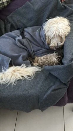 EQDOG Hondenbadjas Doggy Dry Grijs -Hunter Winkel image 521