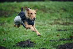 Hunter Hondenjas Uppsala Extreme Grijs 11 Hunter Hondenjas Uppsala Extreme Grijs -Hunter Winkel image 527