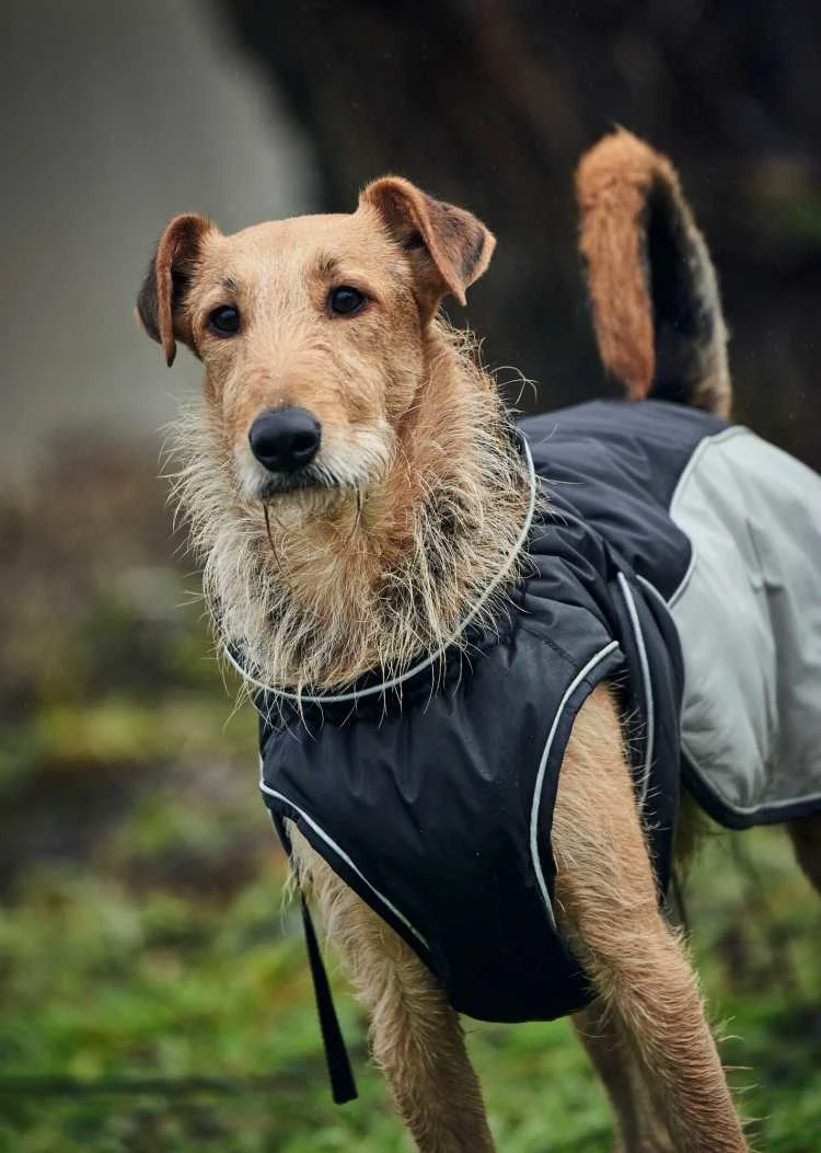 Hunter Hondenjas Uppsala Extreme Grijs 7 Hunter Hondenjas Uppsala Extreme Grijs - Afbeelding 5