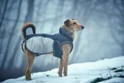 Hunter Hondenjas Uppsala Extreme Grijs 13 Hunter Hondenjas Uppsala Extreme Grijs -Hunter Winkel image 529