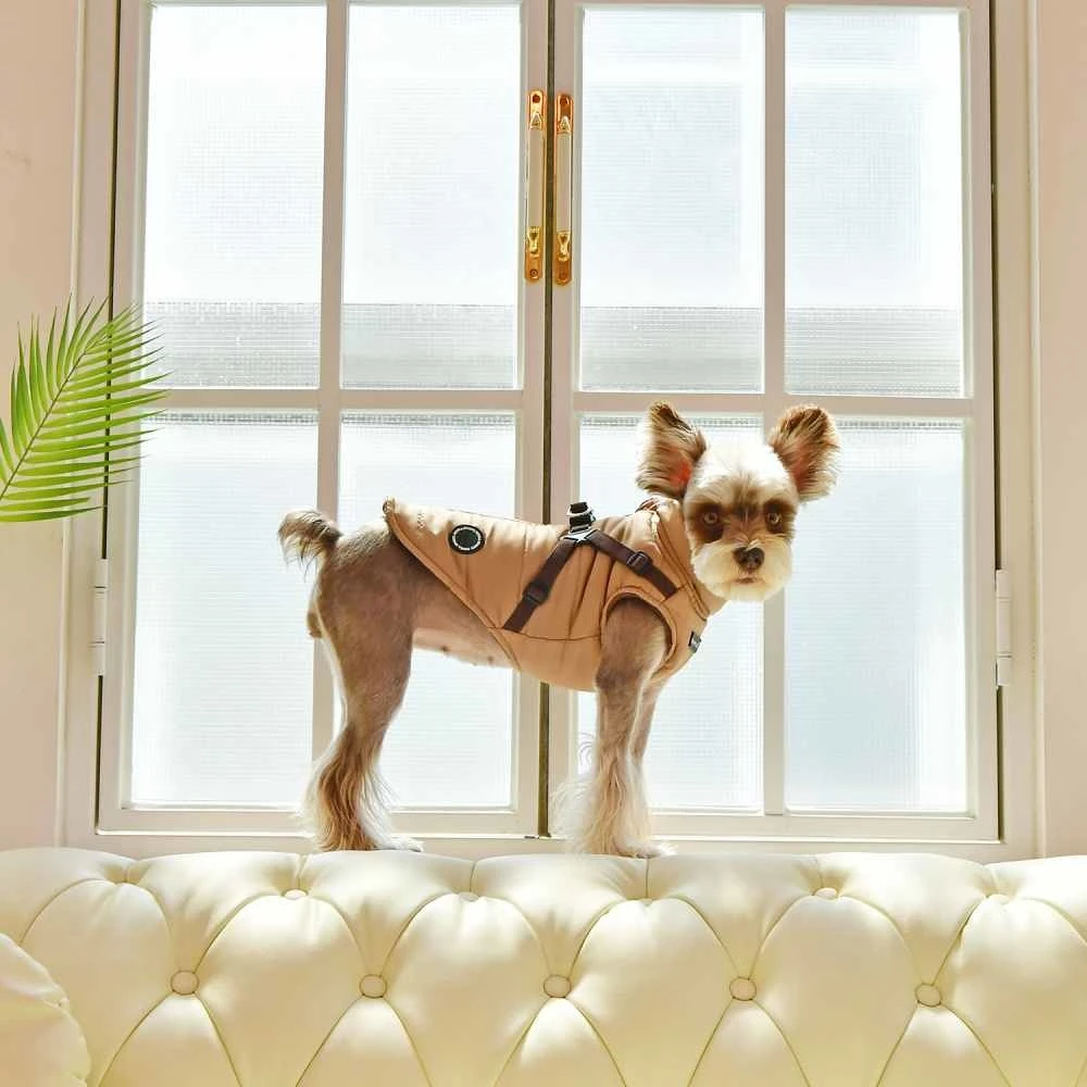 Puppia Puppia Mountaineer Vest Beige 6 Puppia Puppia Mountaineer Vest Beige - Afbeelding 4