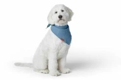 Hunter Hondensjaal Nola Bandana Blauw