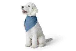 Hunter Hondensjaal Nola Bandana Blauw -Hunter Winkel image 591