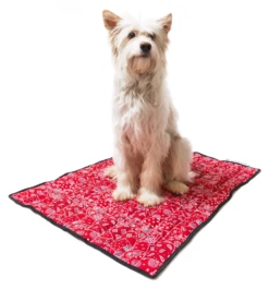 Aqua Coolkeeper Koelmat Pacific Red Western -Hunter Winkel image 6