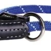 Rogz Training Halsband Hond Blauw